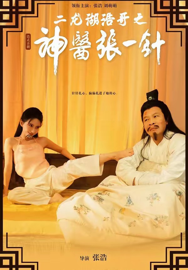 二龙湖浩哥之神医张一针