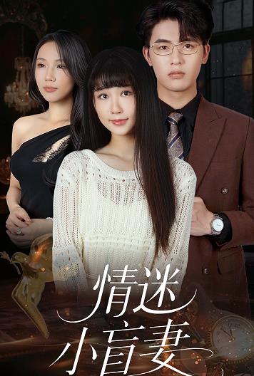 情迷小盲妻